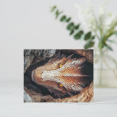 Carte Postale Le regard du dragon (Debout devant)