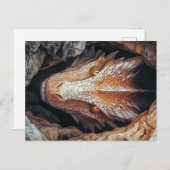 Carte Postale Le regard du dragon (Devant / Derrière)