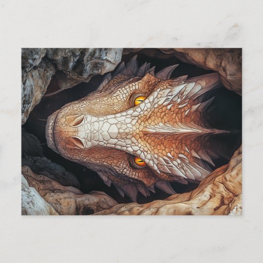 Carte Postale Le regard du dragon (Devant)