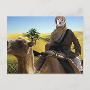 Carte Postale Le renard est Lawrence d'Arabie