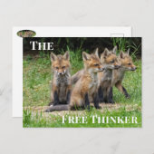 Carte Postale Le renard libre penseur (Devant / Derrière)