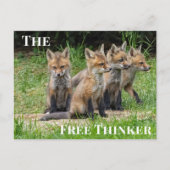 Carte Postale Le renard libre penseur (Devant)