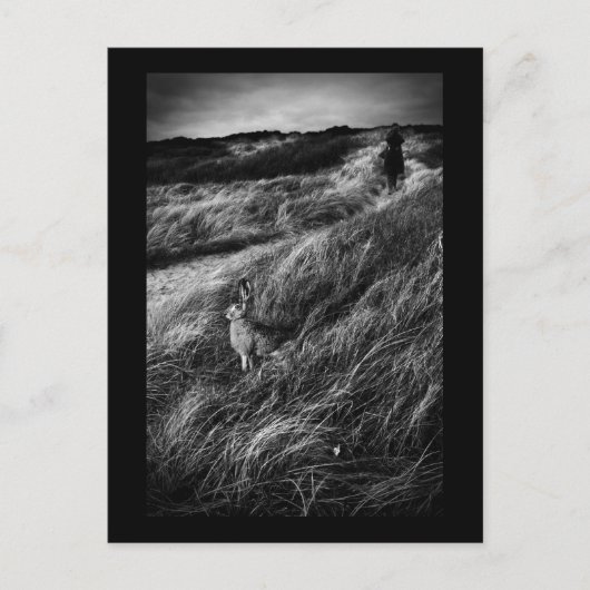 Carte Postale Le Rendez-vous d'Alice Wonderland (Devant)