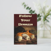 Carte Postale Le rêve des grandes Pyrénées (Debout devant)