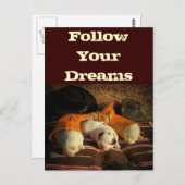 Carte Postale Le rêve des grandes Pyrénées (Devant / Derrière)