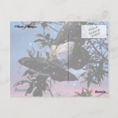 Carte Postale Le réveillon d'été ! (Dos)