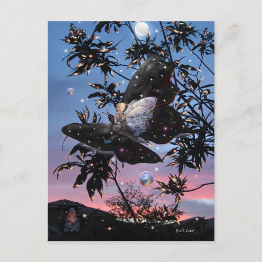 Carte Postale Le réveillon d'été ! (Devant)