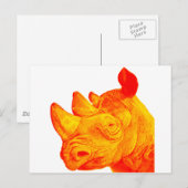 CARTE POSTALE LE RHINO ENSOLEILLÉ (Devant / Derrière)