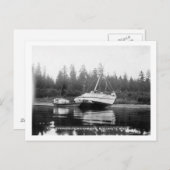 Carte Postale Le Rhododendron sur la rivière Quillayute (Devant / Derrière)