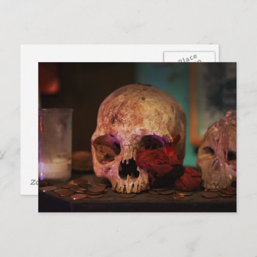 Carte Postale Le rituel vaudou (Devant / Derrière)