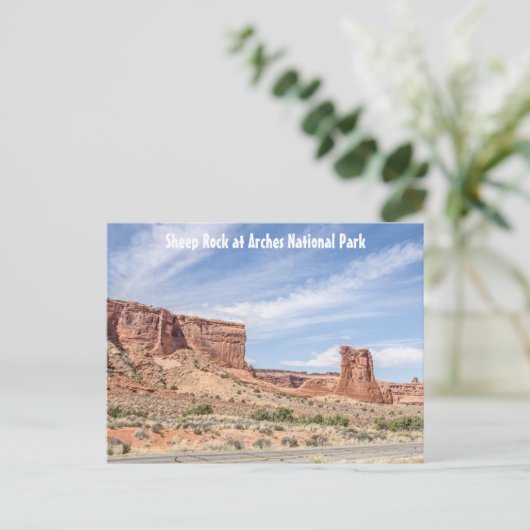 Carte Postale Le rocher des moutons dans le parc national des Ar (Debout devant)