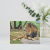 Carte Postale Le roi (Debout devant)