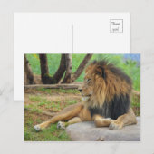 Carte Postale Le roi (Devant / Derrière)