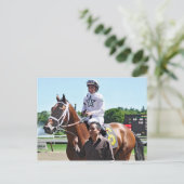 Carte Postale Le roi Cyrus de la ferme de Wstade (Debout devant)