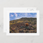 Carte Postale " Le Roi De La Colline " (Devant / Derrière)