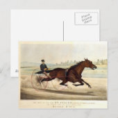 Carte Postale Le Roi du Turf, 'St. Julien' (Devant / Derrière)