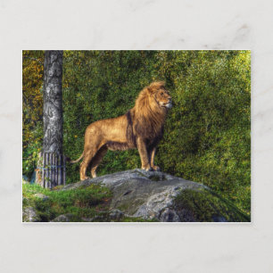 Carte Postale Le roi lion