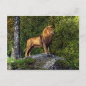 Carte Postale Le roi lion (Devant)