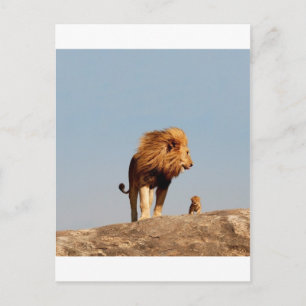 Carte Postale Le Roi Lion (Lion Adulte et Cub)