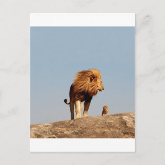 Carte Postale Le Roi Lion (Lion Adulte et Cub)