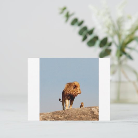Carte Postale Le Roi Lion (Lion Adulte et Cub) (Debout devant)