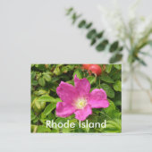 Carte Postale Le Rose (Debout devant)