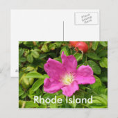Carte Postale Le Rose (Devant / Derrière)