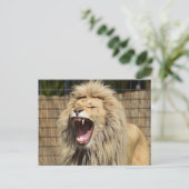 Carte Postale Le rugissement de Lion (Debout devant)