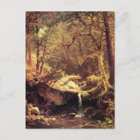 Carte Postale Le ruisseau Mountain (Devant)