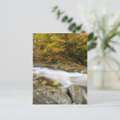 Carte Postale Le ruisseau Roaring en automne dans le vert du Ver (Debout devant)