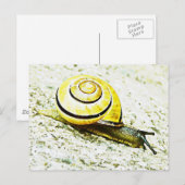 Carte Postale Le rythme de l'escargot (Devant / Derrière)