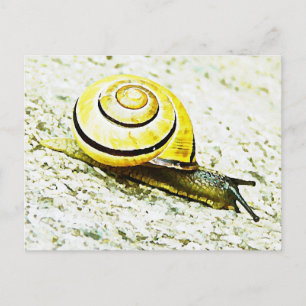 Carte Postale Le rythme de l'escargot