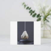 Carte Postale Le sac de thé est suspendu dans une tasse (Debout devant)