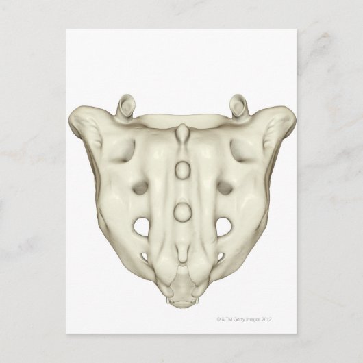 Carte Postale Le Sacrum (Devant)