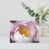 Carte Postale Le Seigneur bénisse Thé (Debout devant)