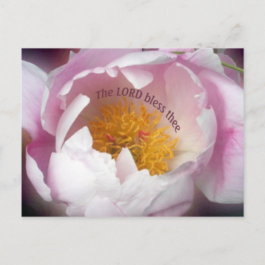 Carte Postale Le Seigneur bénisse Thé (Devant)