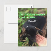 Carte Postale Le Seigneur Est Mon Pasteur Bible Verse Photo (Devant / Derrière)