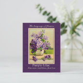 Carte Postale Le sens du Lilac (Debout devant)