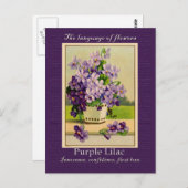 Carte Postale Le sens du Lilac (Devant / Derrière)