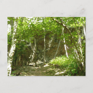 Carte Postale Le sentier de découverte Frazier à Shenandoah Phot