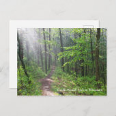 Carte Postale Le sentier de la Forêt de Misty à Castle Mound (Devant / Derrière)