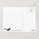 Carte Postale Le sentier du lac Josephine avec la guilde du mont (Dos)