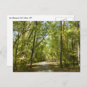 Carte Postale Le sentier du lac Kittamaquandi à Columbia Marylan (Devant / Derrière)