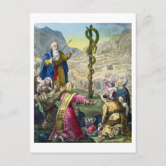 Carte Postale Le serpent brésilien, d'une bible imprimée par Edw (Devant)