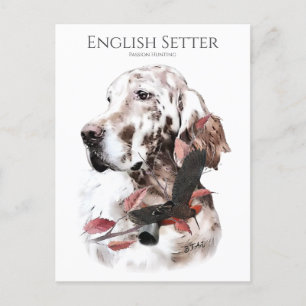 Carte Postale Le Setter anglais, la chasse à la passion