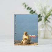 Carte Postale Le singe barbare de Gibraltar (Debout devant)