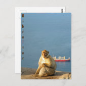 Carte Postale Le singe barbare de Gibraltar (Devant / Derrière)