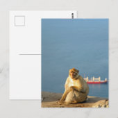 Carte Postale Le singe barbare de Gibraltar (Devant / Derrière)