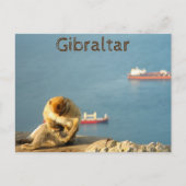 Carte Postale Le singe barbare de Gibraltar (Devant)