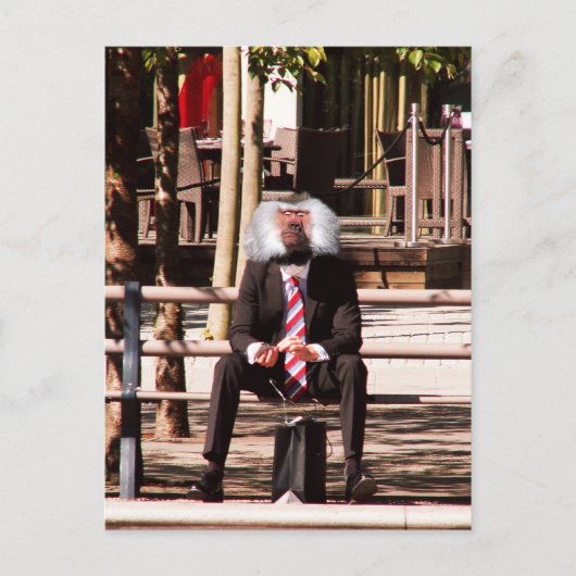 Carte Postale Le singe humain (Devant)